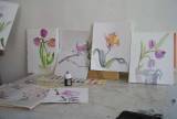 Atelier Alupi - peinture aquarelle