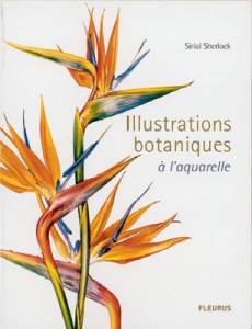 Illustrations botaniques à l'aquarelle